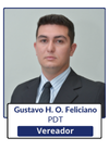 Gustavo H. O. Feliciano.png